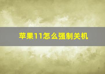 苹果11怎么强制关机