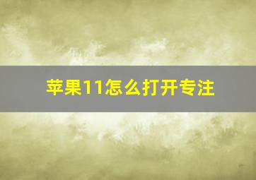 苹果11怎么打开专注