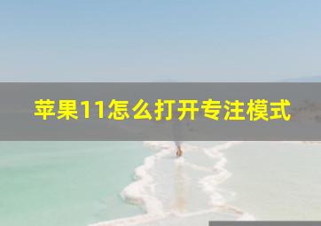 苹果11怎么打开专注模式