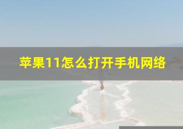 苹果11怎么打开手机网络