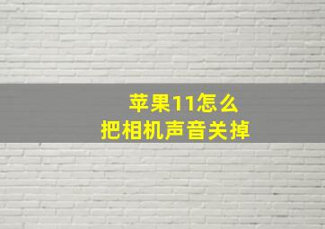 苹果11怎么把相机声音关掉