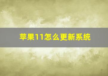 苹果11怎么更新系统