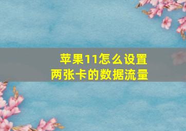 苹果11怎么设置两张卡的数据流量