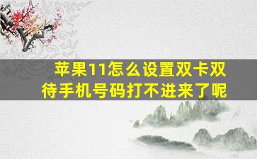 苹果11怎么设置双卡双待手机号码打不进来了呢