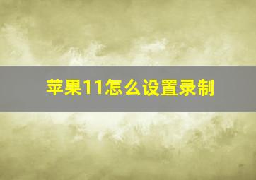 苹果11怎么设置录制