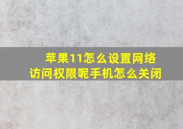 苹果11怎么设置网络访问权限呢手机怎么关闭