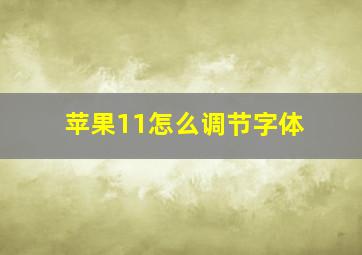 苹果11怎么调节字体