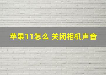 苹果11怎么 关闭相机声音