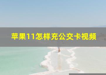 苹果11怎样充公交卡视频