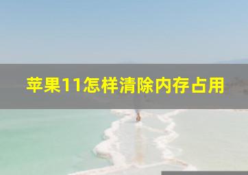 苹果11怎样清除内存占用