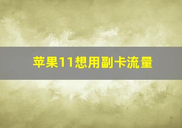 苹果11想用副卡流量