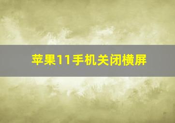 苹果11手机关闭横屏