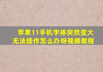 苹果11手机字体突然变大无法操作怎么办呀视频教程