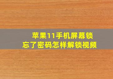 苹果11手机屏幕锁忘了密码怎样解锁视频