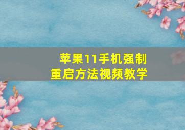 苹果11手机强制重启方法视频教学