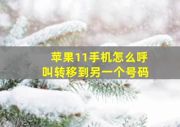 苹果11手机怎么呼叫转移到另一个号码