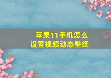 苹果11手机怎么设置视频动态壁纸