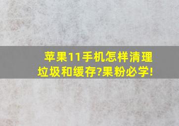 苹果11手机怎样清理垃圾和缓存?果粉必学!