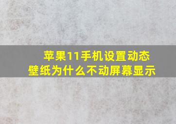 苹果11手机设置动态壁纸为什么不动屏幕显示