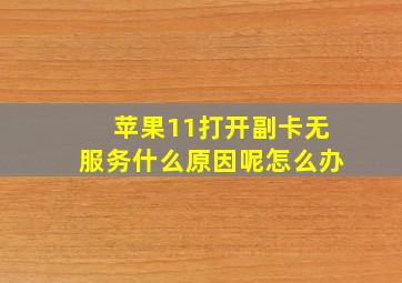 苹果11打开副卡无服务什么原因呢怎么办