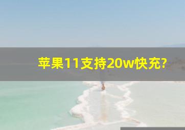 苹果11支持20w快充?