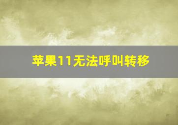 苹果11无法呼叫转移