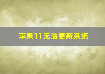 苹果11无法更新系统