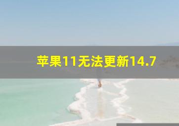 苹果11无法更新14.7