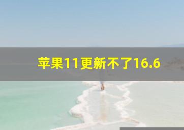 苹果11更新不了16.6