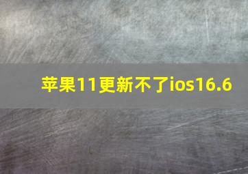 苹果11更新不了ios16.6