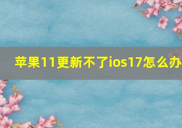 苹果11更新不了ios17怎么办