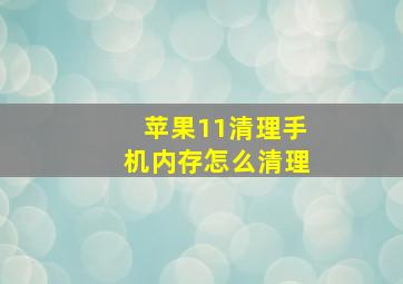 苹果11清理手机内存怎么清理