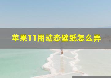 苹果11用动态壁纸怎么弄