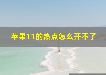 苹果11的热点怎么开不了