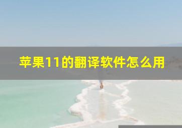 苹果11的翻译软件怎么用