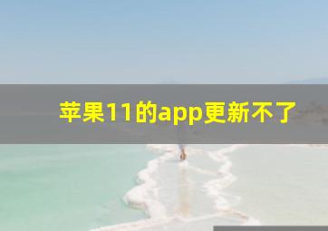 苹果11的app更新不了