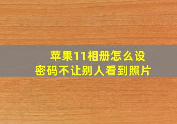 苹果11相册怎么设密码不让别人看到照片