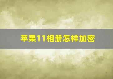 苹果11相册怎样加密