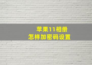 苹果11相册怎样加密码设置