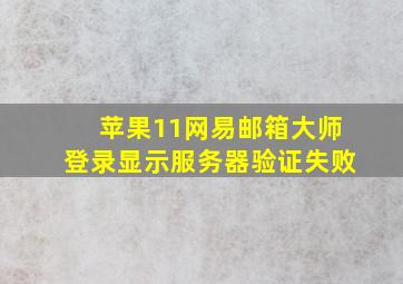 苹果11网易邮箱大师登录显示服务器验证失败