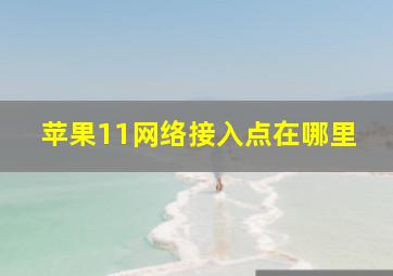 苹果11网络接入点在哪里