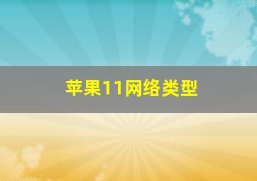 苹果11网络类型