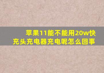 苹果11能不能用20w快充头充电器充电呢怎么回事