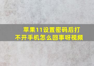 苹果11设置密码后打不开手机怎么回事呀视频