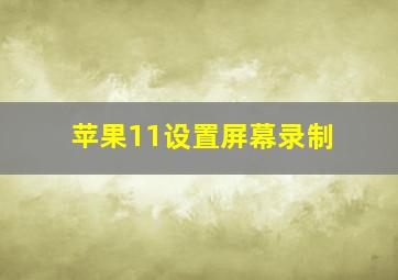 苹果11设置屏幕录制