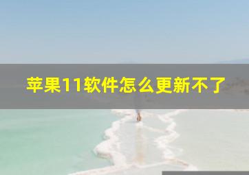 苹果11软件怎么更新不了