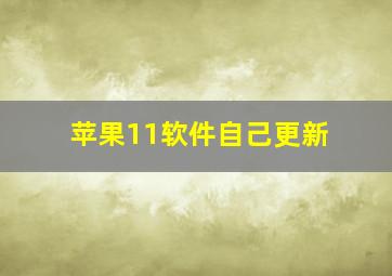 苹果11软件自己更新