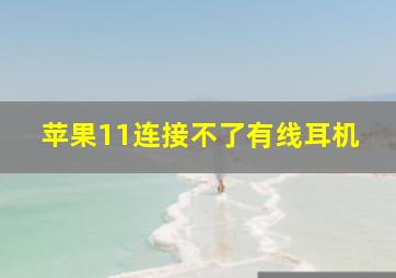 苹果11连接不了有线耳机