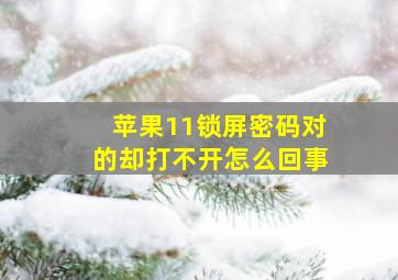 苹果11锁屏密码对的却打不开怎么回事