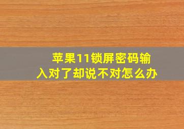 苹果11锁屏密码输入对了却说不对怎么办